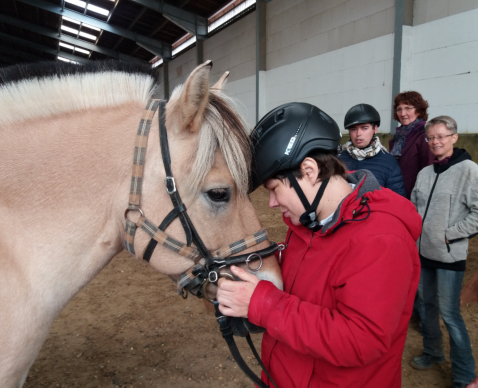 Ein Pferd und Reiter