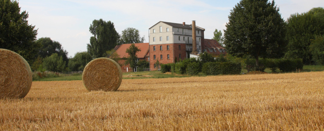 Heydenmühle Stiftung aus der Ferne